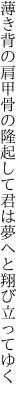 薄き背の肩甲骨の隆起して 君は夢へと翔び立ってゆく