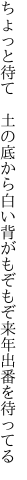 ちょっと待て　土の底から白い背が もぞもぞ来年出番を待ってる