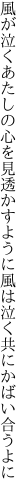 風が泣くあたしの心を見透かすように 風は泣く共にかばい合うよに