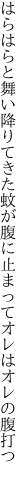 はらはらと舞い降りてきた蚊が腹に 止まってオレはオレの腹打つ