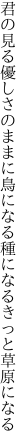 君の見る優しさのままに鳥になる 種になるきっと草原になる