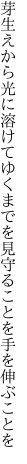 芽生えから光に溶けてゆくまでを 見守ることを手を伸ぶことを