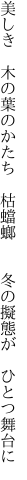 美しき 木の葉のかたち 枯蟷螂   冬の擬態が ひとつ舞台に