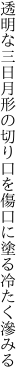 透明な三日月形の切り口を 傷口に塗る冷たく滲みる