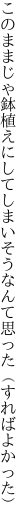 このままじゃ鉢植えにしてしまいそう なんて思った（すればよかった）