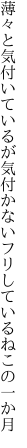 薄々と気付いているが気付かない フリしているねこの一か月