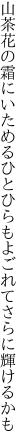 山茶花の霜にいためるひとひらも よごれてさらに輝けるかも