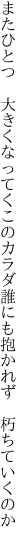 またひとつ 大きくなってくこのカラダ 誰にも抱かれず 朽ちていくのか