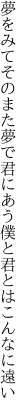 夢をみてそのまた夢で君にあう 僕と君とはこんなに遠い
