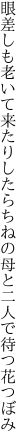 眼差しも老いて来たりしたらちねの 母と二人で待つ花つぼみ