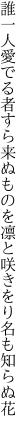 誰一人愛でる者すら来ぬものを 凛と咲きをり名も知らぬ花