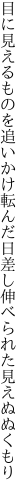 目に見えるものを追いかけ転んだ日 差し伸べられた見えぬぬくもり