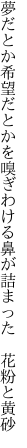 夢だとか希望だとかを嗅ぎわける 鼻が詰まった 花粉と黄砂