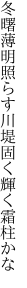 冬曙薄明照らす川堤 固く輝く霜柱かな