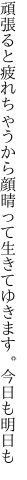 頑張ると疲れちゃうから顔晴って 生きてゆきます。今日も明日も