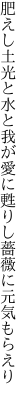 肥えし土光と水と我が愛に 甦りし薔薇に元気もらえり