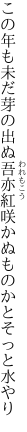 この年も未だ芽の出ぬ吾亦紅 咲かぬものかとそっと水やり