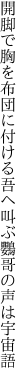 開脚で胸を布団に付ける吾ヘ 叫ぶ鸚哥の声は宇宙語