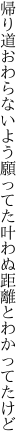 帰り道おわらないよう願ってた 叶わぬ距離とわかってたけど