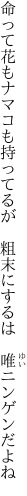 命って花もナマコも持ってるが  粗末にするは 唯ニンゲンだよね