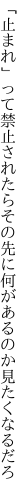 「止まれ」って禁止されたらその先に 何があるのか見たくなるだろ