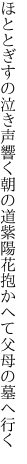 ほととぎすの泣き声響く朝の道 紫陽花抱かへて父母の墓へ行く