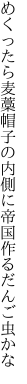 めくったら麦藁帽子の内側に 帝国作るだんご虫かな