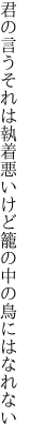 君の言うそれは執着悪いけど 籠の中の鳥にはなれない