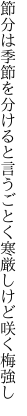 節分は季節を分けると言うごとく 寒厳しけど咲く梅強し