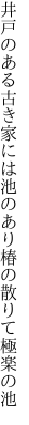 井戸のある古き家には池のあり 椿の散りて極楽の池