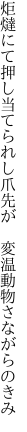 炬燵にて押し当てられし爪先が  変温動物さながらのきみ