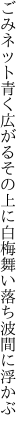 ごみネット青く広がるその上に 白梅舞い落ち波間に浮かぶ