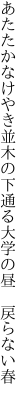 あたたかなけやき並木の下通る 大学の昼　戻らない春