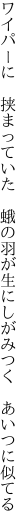 ワイパーに 挟まっていた 蛾の羽が 生にしがみつく あいつに似てる