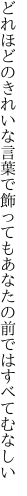 どれほどのきれいな言葉で飾っても あなたの前ではすべてむなしい