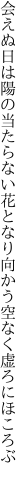 会えぬ日は陽の当たらない花となり 向かう空なく虚ろにほころぶ