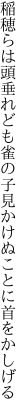 稲穂らは頭垂れども雀の子 見かけぬことに首をかしげる