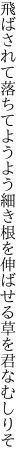 飛ばされて落ちてようよう細き根を 伸ばせる草を君なむしりそ