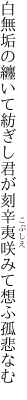 白無垢の纏いて紡ぎし君が刻 辛夷咲みて想ふ孤悲なむ