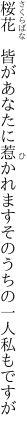 桜花 皆があなたに惹かれます そのうちの一人私もですが