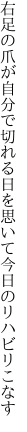 右足の爪が自分で切れる日を 思いて今日のリハビリこなす