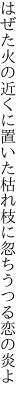 はぜた火の近くに置いた枯れ枝に 忽ちうつる恋の炎よ