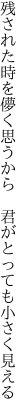 残された時を儚く思うから  君がとっても小さく見える