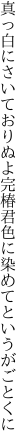 真っ白にさいておりぬよ完椿 君色に染めてというがごとくに