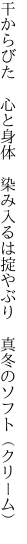 干からびた 心と身体 染み入るは 掟やぶり 真冬のソフト（クリーム）
