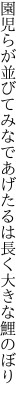 園児らが並びてみなであげたるは 長く大きな鯉のぼり