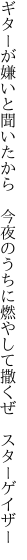 ギターが嫌いと聞いたから 今夜のうちに 燃やして撒くぜ スターゲイザー