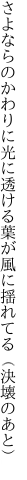 さよならのかわりに光に透ける葉が 風に揺れてる（決壊のあと）