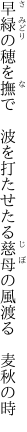 早緑の穂を撫で　波を打たせたる 慈母の風渡る　麦秋の時