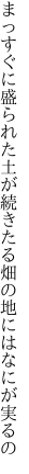 まっすぐに盛られた土が続きたる 畑の地にはなにが実るの